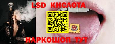прущие грибы Кунгур