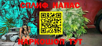 прущие грибы Кунгур