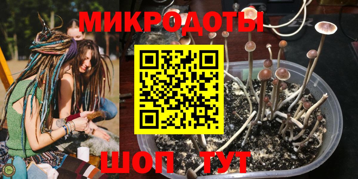Зеленокумск  Псилоцибиновые грибы мухоморы  Псилоцибиновые грибы MAGIC MUSHROOMS  Вход с VPN 